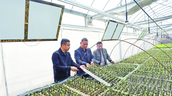 湖南湘潭：农业插上“科技翅膀”