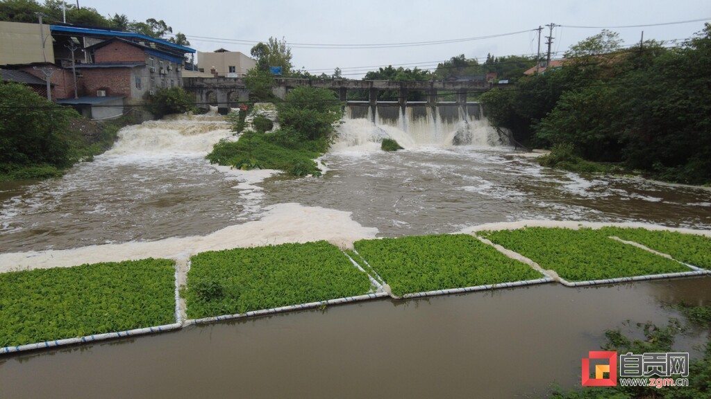 全市首座“水魔方”——石墨烯协同水体原位净化装置在大安建成并通过省级专家评审