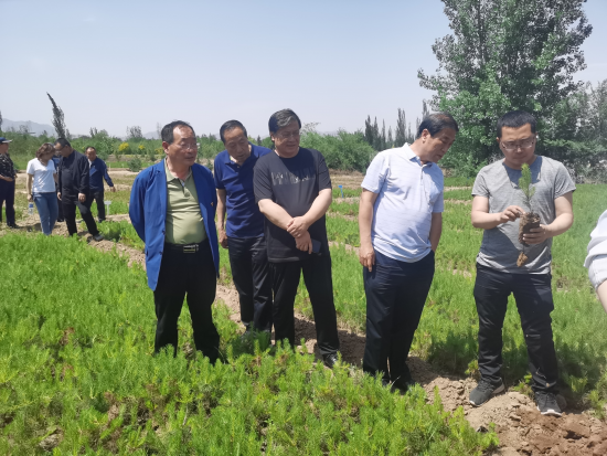 民盟省委能源革命综合改革试点调研组开展石墨烯林业应用调研