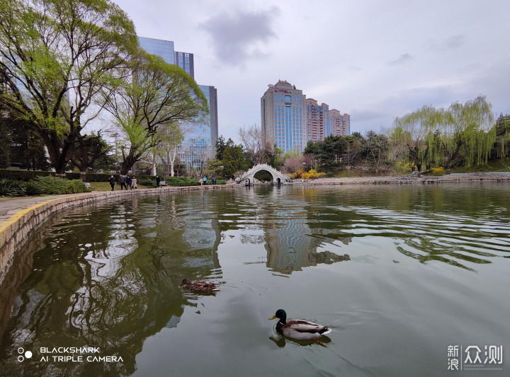 黑鲨5是游戏手机？外观精致拍照强，不太一样_新浪众测