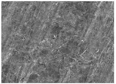 Manchester团队在纸张上打印石墨烯RFID天线