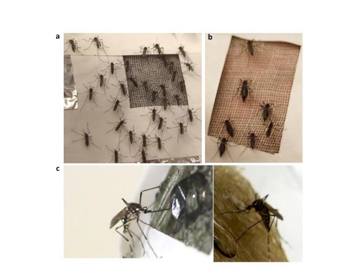 研究发现：石墨烯可以防止蚊子叮咬