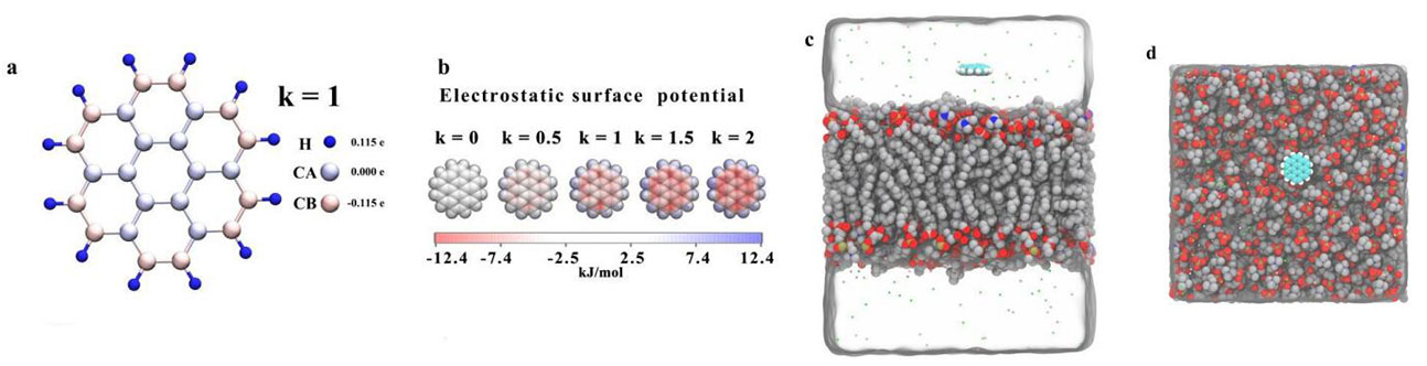 唐小峰硕士关于静电势极化程度对石墨烯量子点跨膜能力影响的研究工作在Nanoscale杂志发表