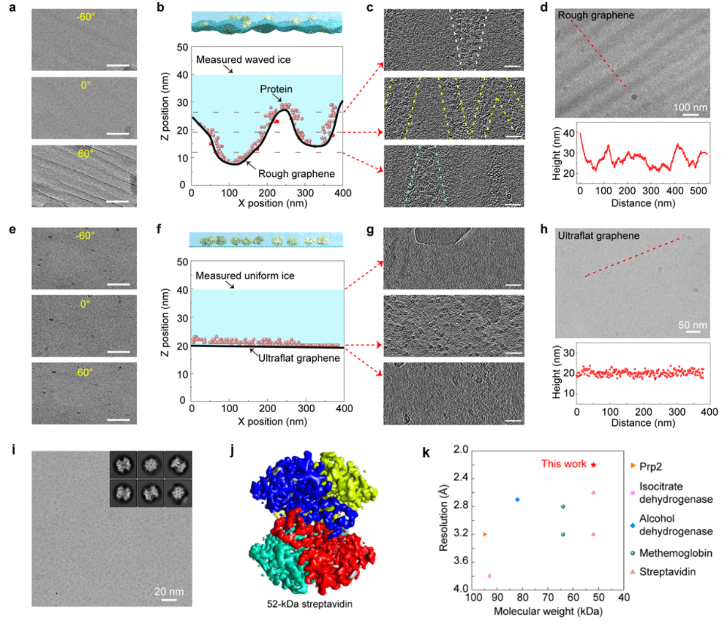 彭海琳课题组与合作者Nature Methods ：超平整石墨烯/均匀薄冰支撑膜用于高分辨冷冻电镜成像