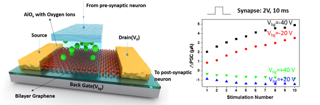 微电子所任天令教授课题组在《纳米快报》发文  首次实现可塑性可调的石墨烯类突触器件