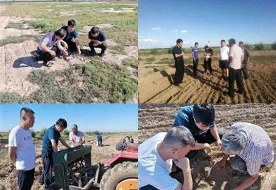 大同大学石墨烯科研团队，助力内蒙古盐碱地治理