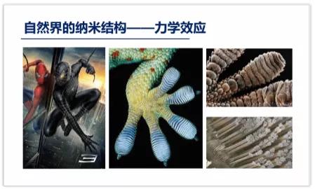 “万物的仲裁者”，今天你用的什么“尺”？