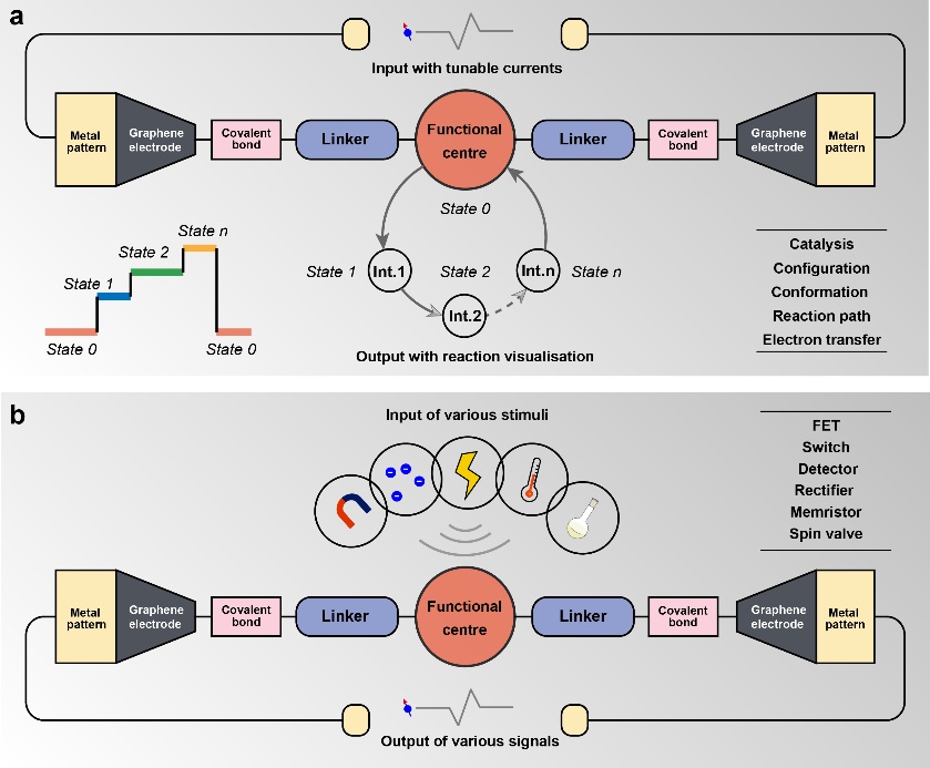 郭雪峰课题组报道单分子芯片制备实验流程