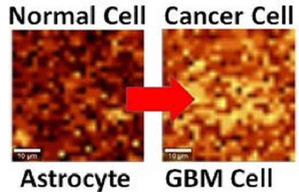石墨烯又添新功能——癌细胞探测