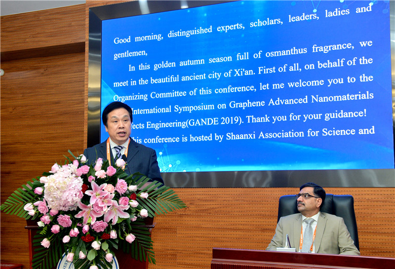 GANDE-2019石墨烯新型纳米材料缺陷工程国际研讨会在西安召开