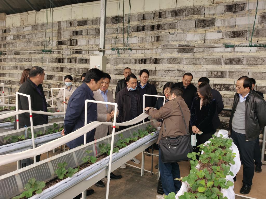 江苏省石墨烯农业科技创新联合体第一次课题组会议在江苏农林职业技术学院召开