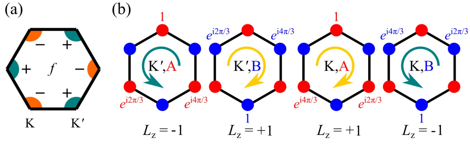 武汉大学在石墨烯体系超导理论研究获新进展