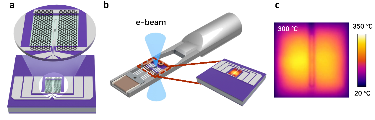 魏洋、李群庆研究组在石墨烯微加热芯片研究中取得进展