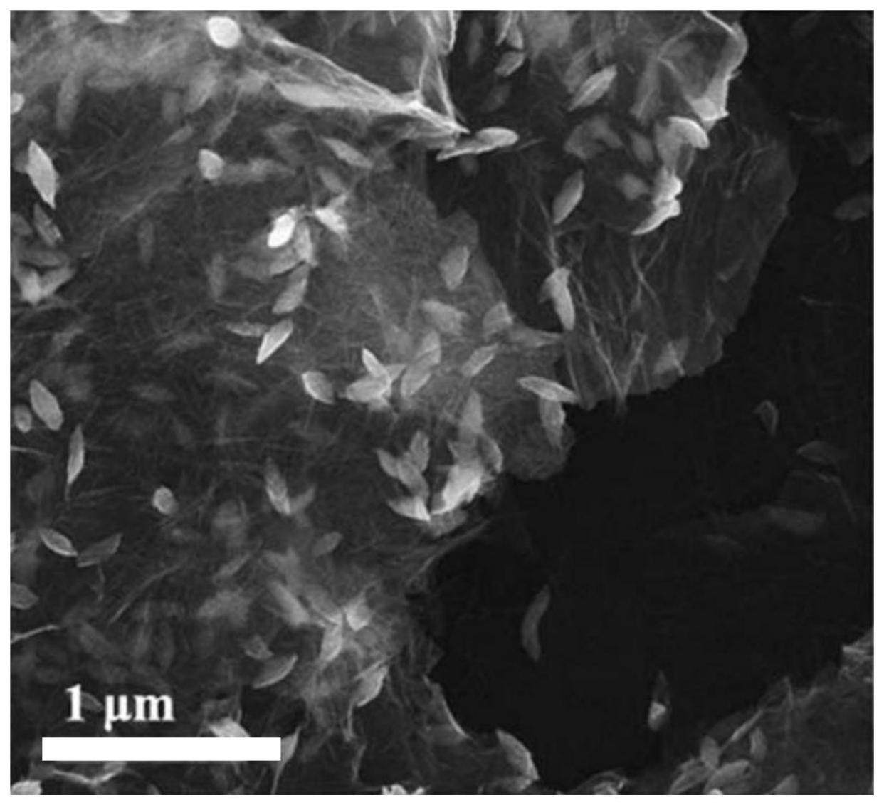 石墨烯/纳米铜复合抗菌剂、抗菌聚碳酸酯及其制备方法