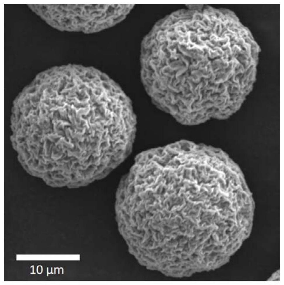 石墨烯复合微球及其制备方法、栓塞材料和药物制剂