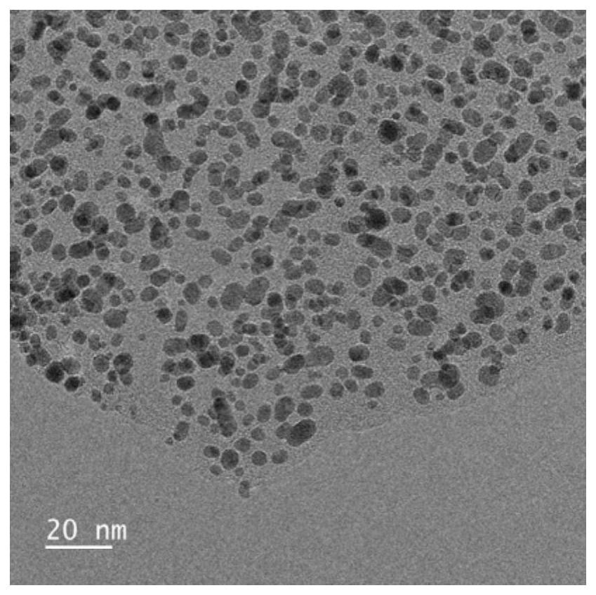 载铂氮掺杂石墨烯及其制备方法和应用