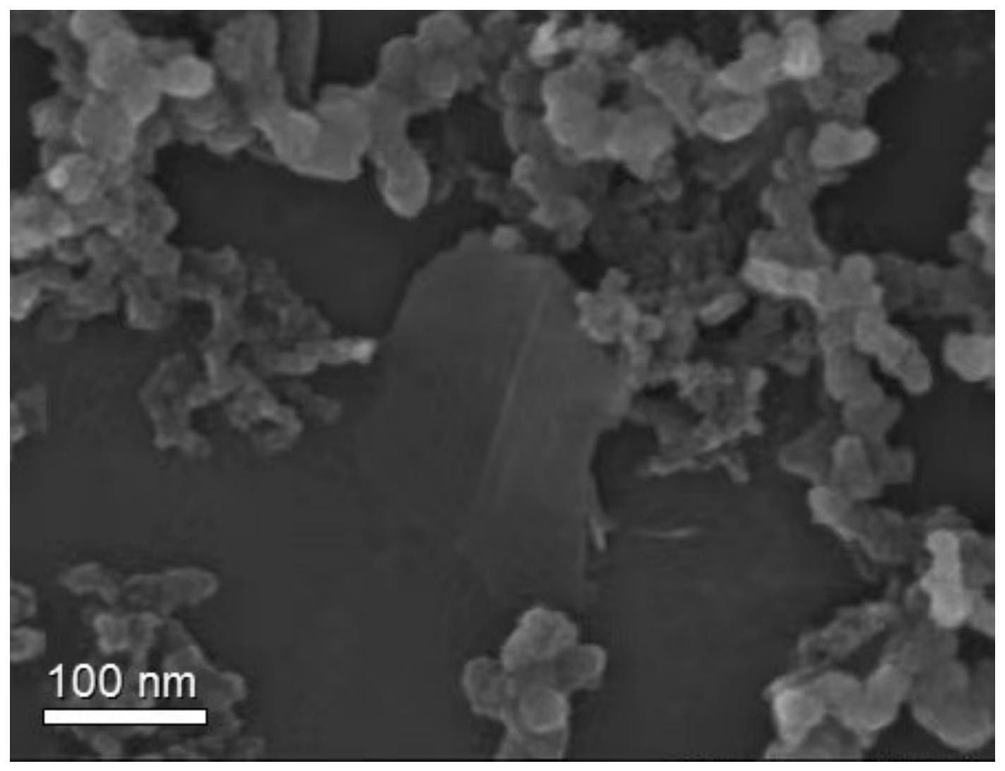 一种涂碳铝箔及用于二次电池的电极极片