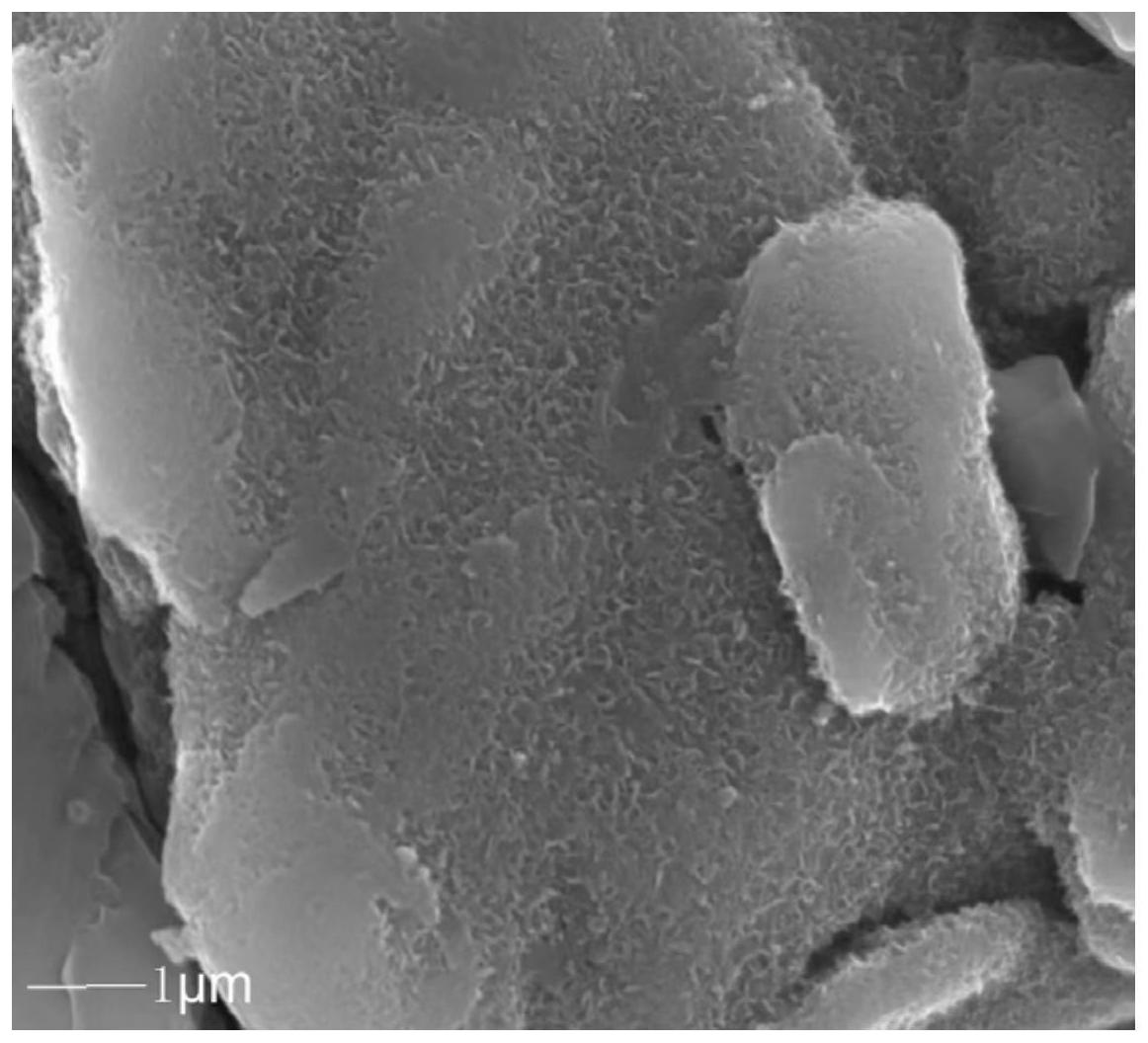 一种用于二次电池的负极极片、二次电池及电子装置
