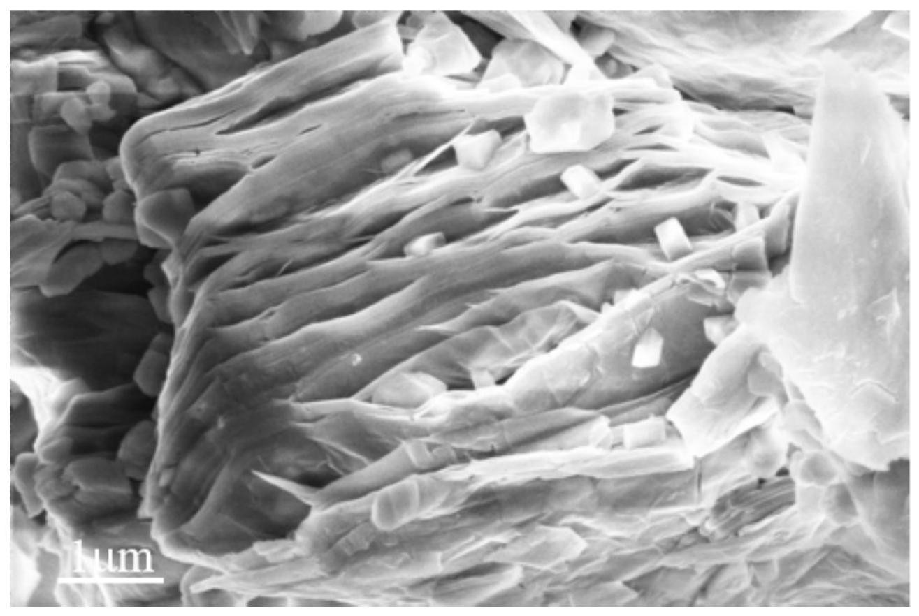 插层复合物、制备方法及应用