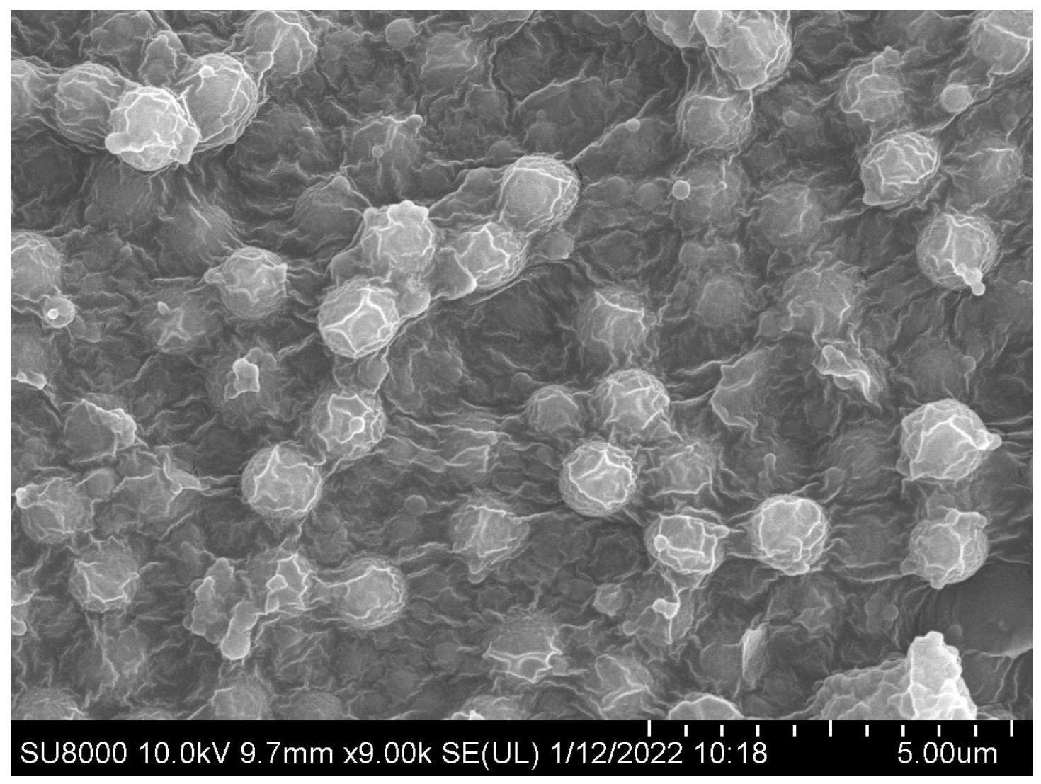 一种石墨烯在PVC树脂中的分散方法