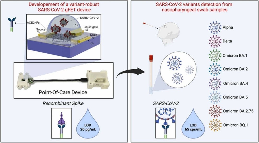 用于检测SARS-CoV-2变体的石墨烯晶体管