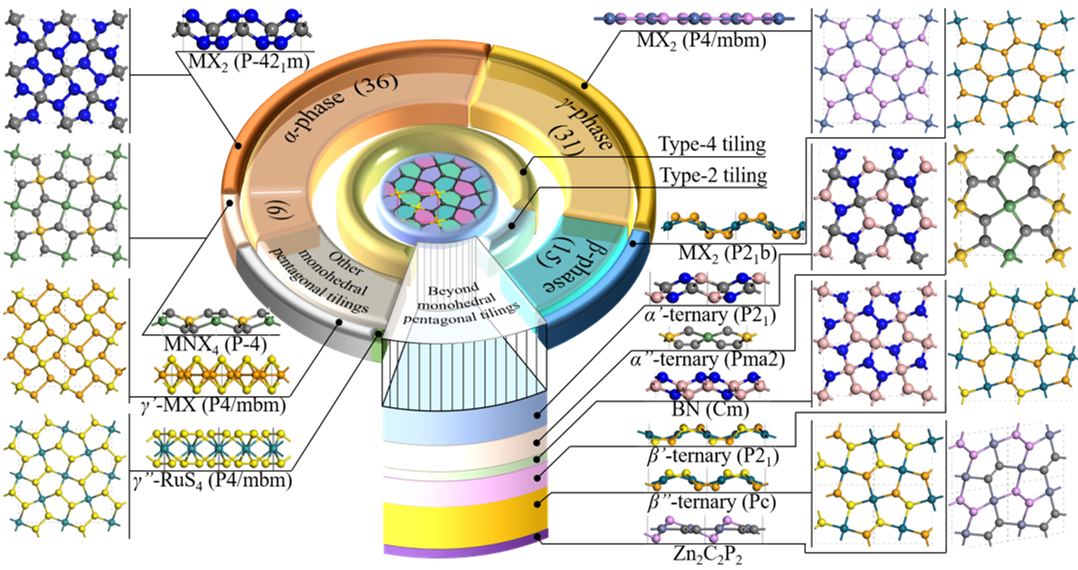 王前团队顶刊综述：五边形二维材料—“碳”在材料科学与纳米技术中的领头羊作用