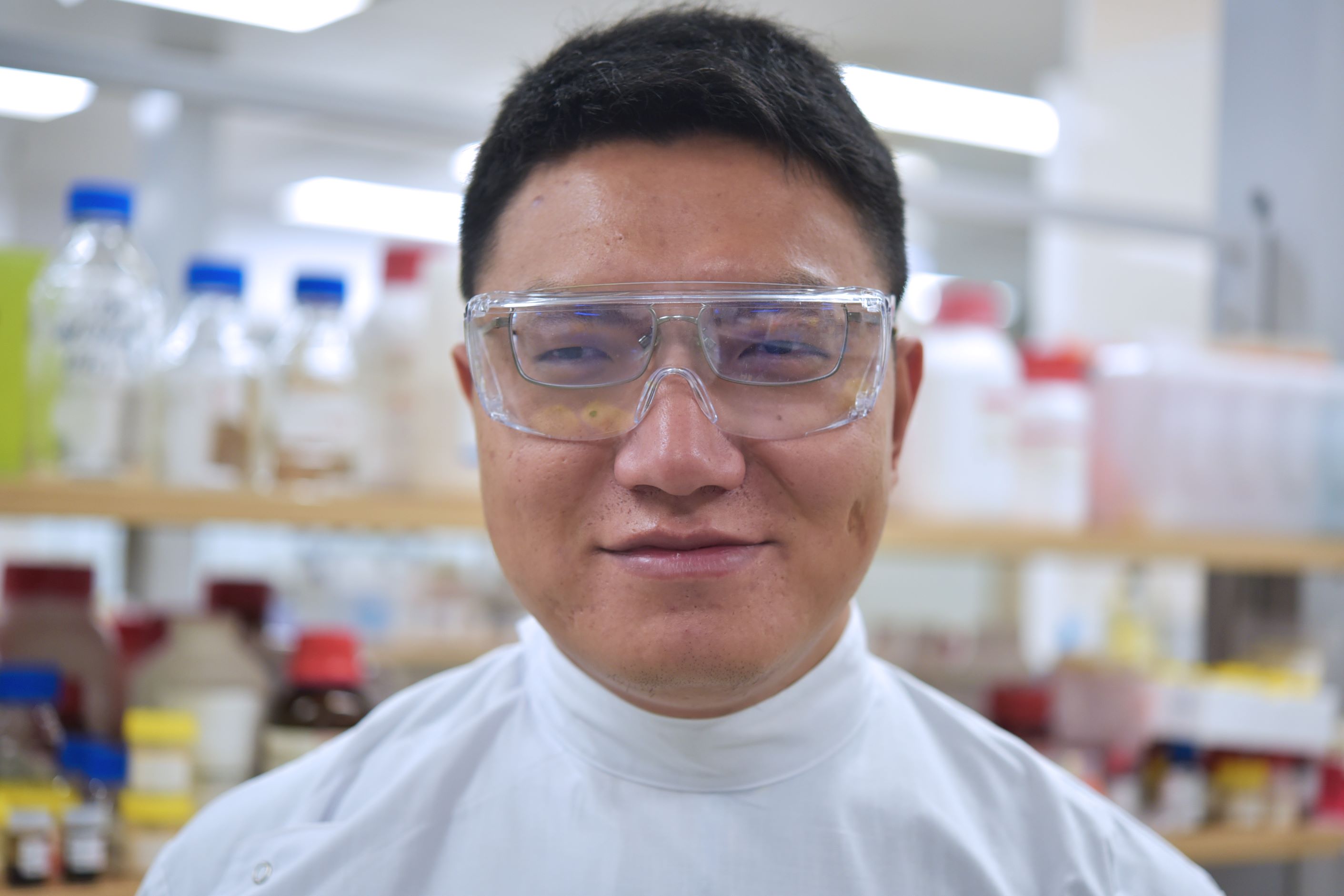 澳大利亚经济加速器支持的电池研究