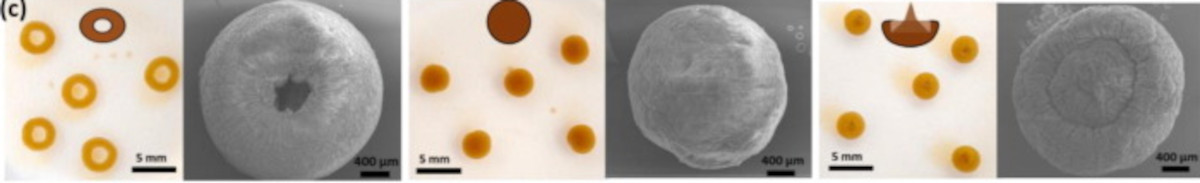 研究人员创造了石墨烯水凝胶，用于高效的水净化