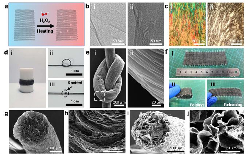 西北工业大学孔杰教授团队最新研究成果在《自然·通讯》发表