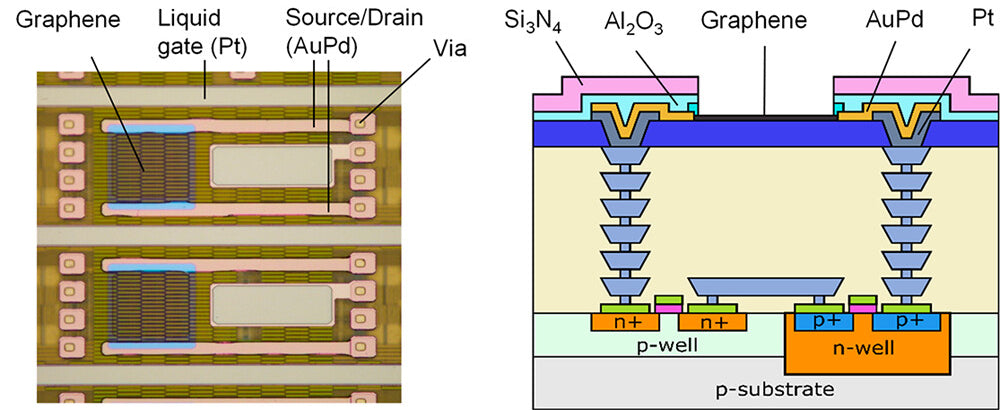 用于生物传感的晶圆级 CMOS 集成石墨烯场效应晶体管阵列