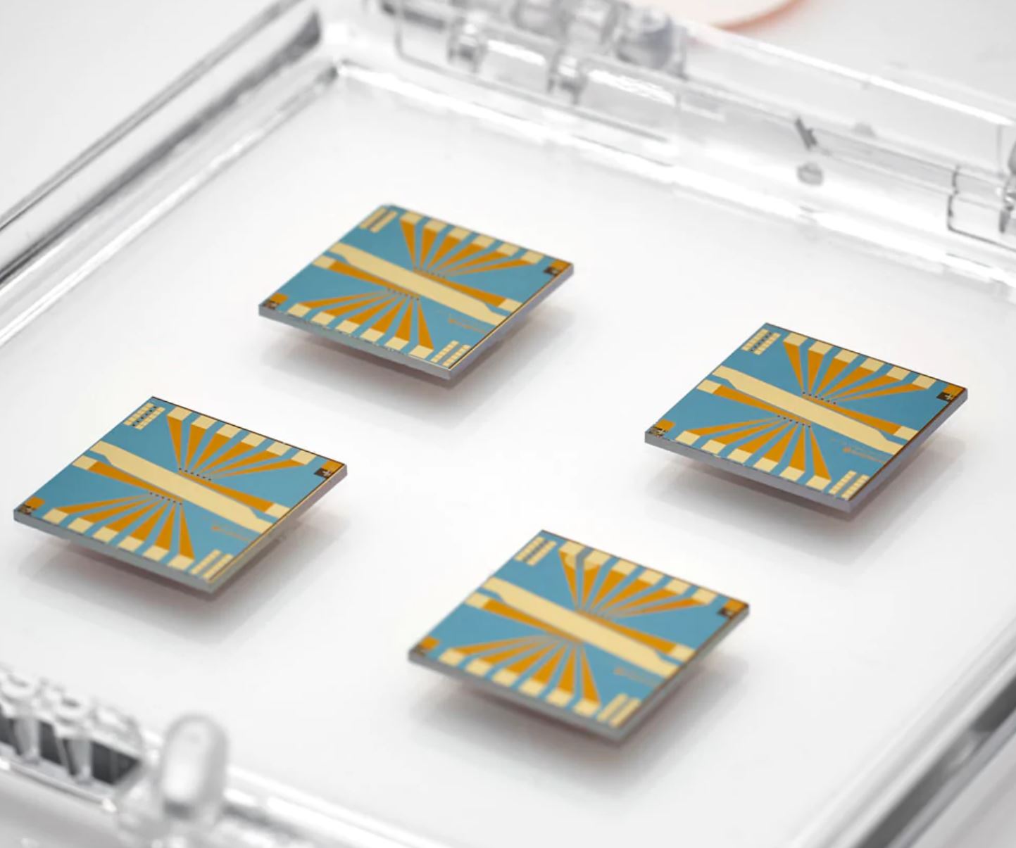 使用石墨烯传感器超灵敏检测 SARS-CoV-2