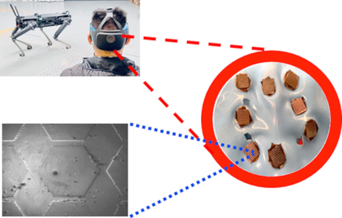 研究人员开发了基于石墨烯的无创传感器，用于脑机界面