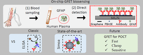 石墨烯生物传感器在即时诊断方面超越ELISA和Simoa