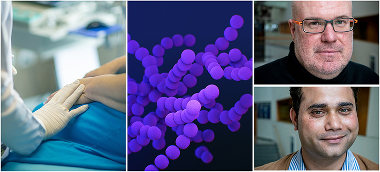 医院插图，引起败血症的细菌以及Ivan Mijakovic和Santosh Pandit的照片