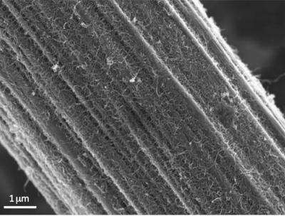 涂有SP1/MWCNT的碳纤维的HR-SEM