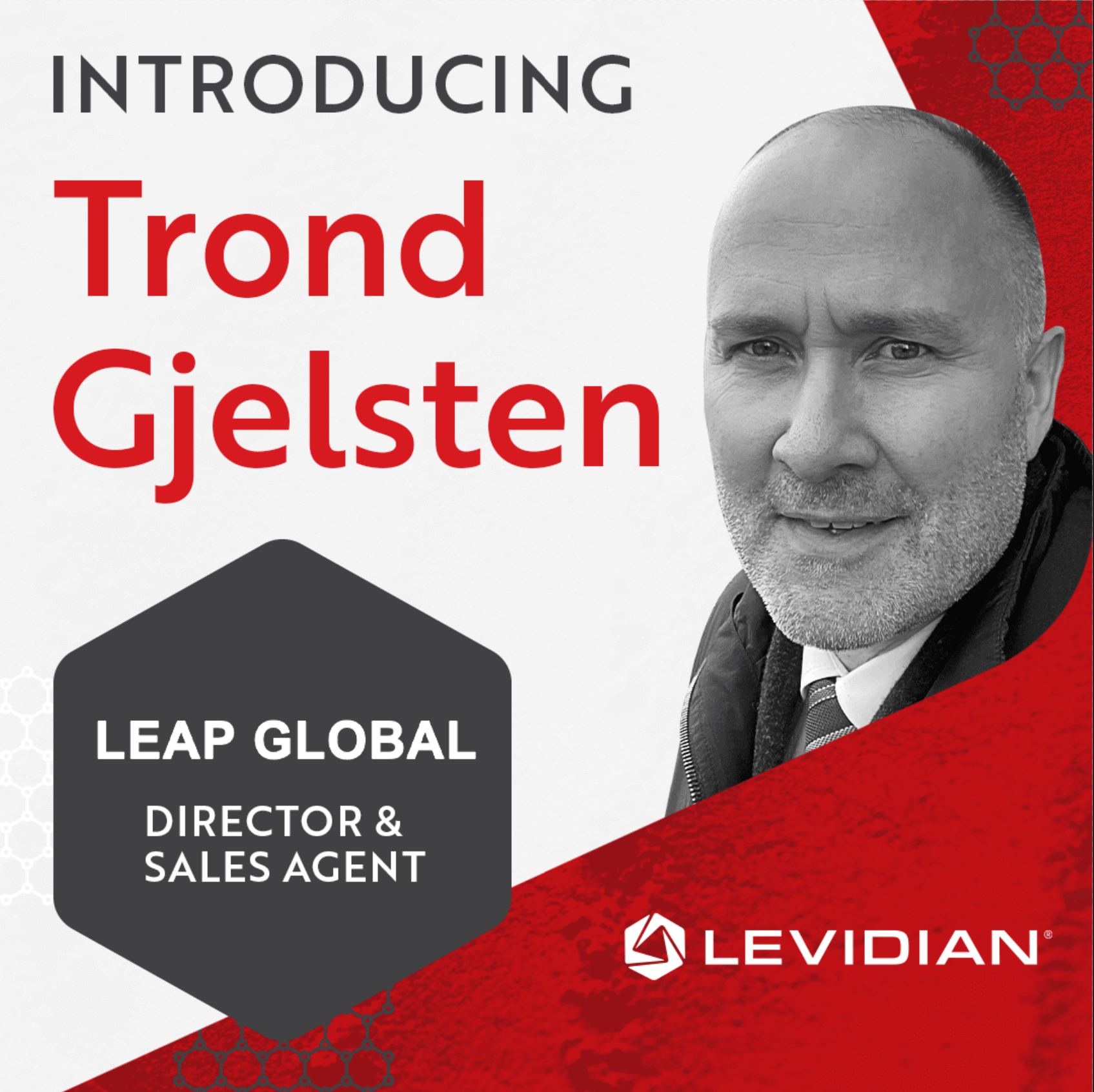 Levidian石墨烯代理商LEAP Global Services介绍