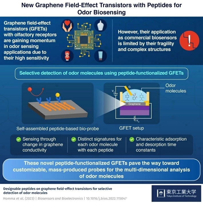 基于石墨烯的新型嗅觉传感器检测气味分子