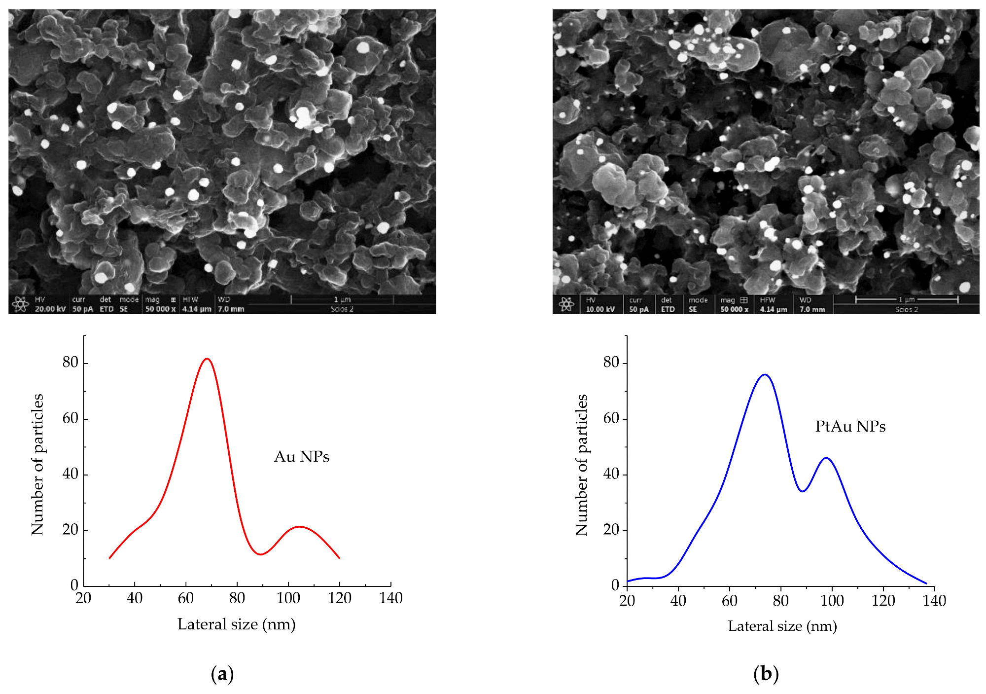 PtAu/rGO HER 催化剂为经济型燃料的未来打开了大门