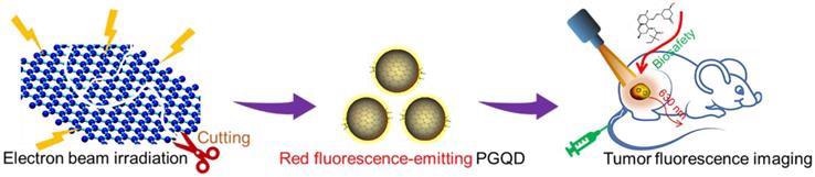 基于石墨烯量子点开发的肿瘤靶向诊断剂