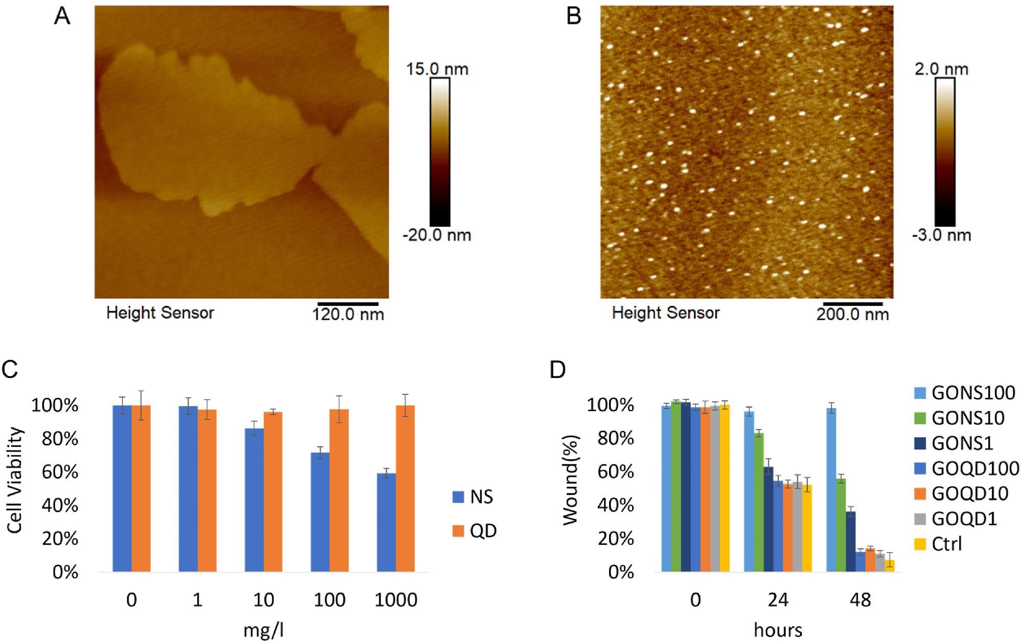 A） GO纳米片的代表性AFM图像。B）GO量子点的代表性AFM图像。C）孵育24小时后，用CCK-8测定法评估用GO纳米片和量子点孵育的LX-2的细胞活力。（*p < 0.05）D）GO纳米材料对活化LX-2迁移率的影响评价.用GO纳米片和量子点处理细胞，范围从1到100mg / l（NS：纳米片，QD：量子点。Ctrl：控制）。© 桂某， 胡国， 杰， Z. 等 （2022）