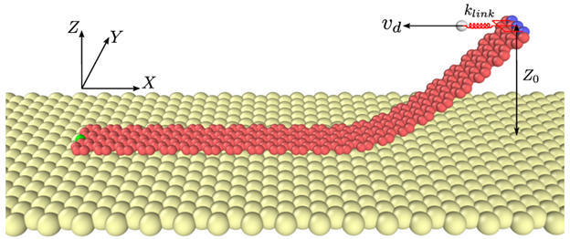 阐明石墨烯纳米带的剥离和滑动