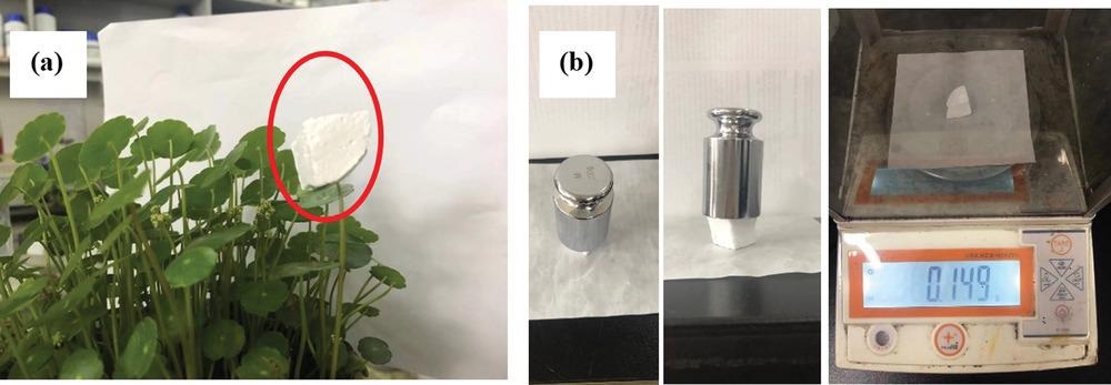 开发泡沫以改善石墨烯的水过滤性能