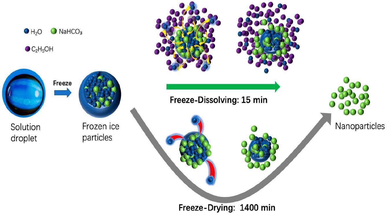制造纳米颗粒和超细粉末的绿色方法