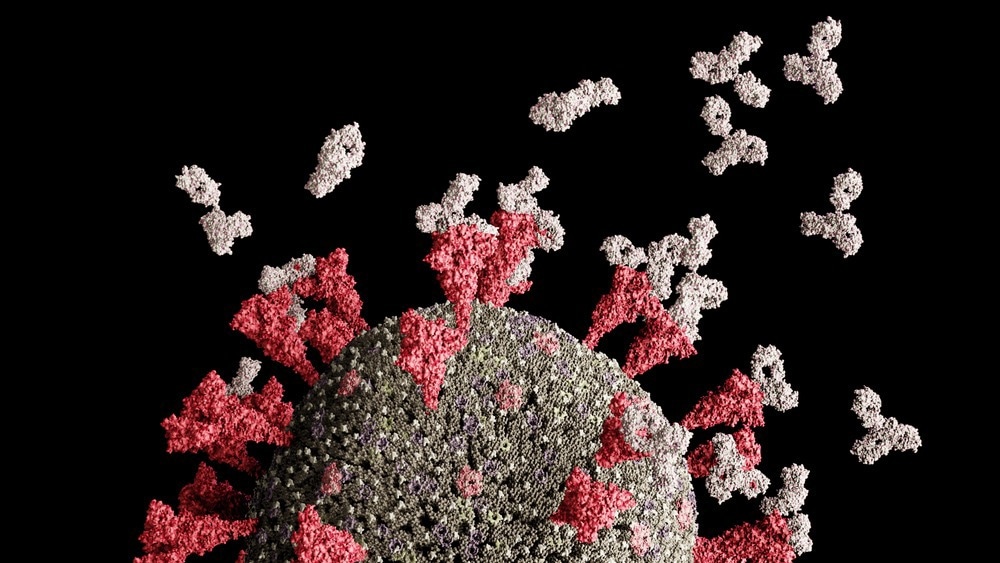 使用石墨烯FET检测SARS-CoV-2 S1抗原的新型快速方法