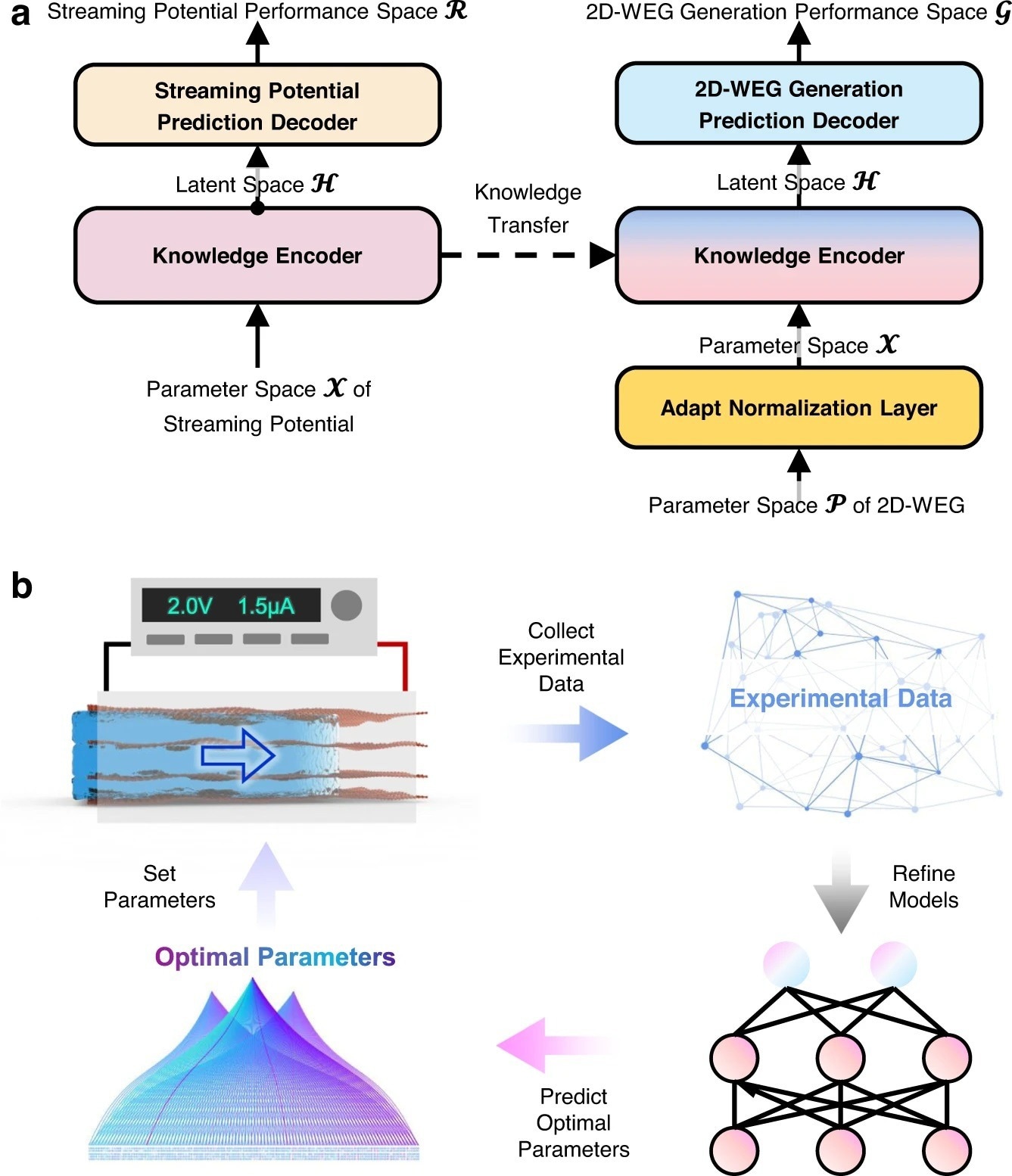 TL框架的示意图。具有编码器-解码器架构的源模型首先使用流潜力数据进行训练。然后，将编码器传输到选择模型以初始化参数，并使用实验数据从潜在空间到2D-WEG的性能进行解码预测。b 迭代优化过程示意图。首先，通过实验收集不同结构参数的二维WEGs的生成性能数据。然后使用新收集的数据和以前的数据来优化选择模型。随后，利用差分进化算法，基于优化模型的预测，得到几种新的结构参数组合，重构二维WEGs，并据此收集实验数据。