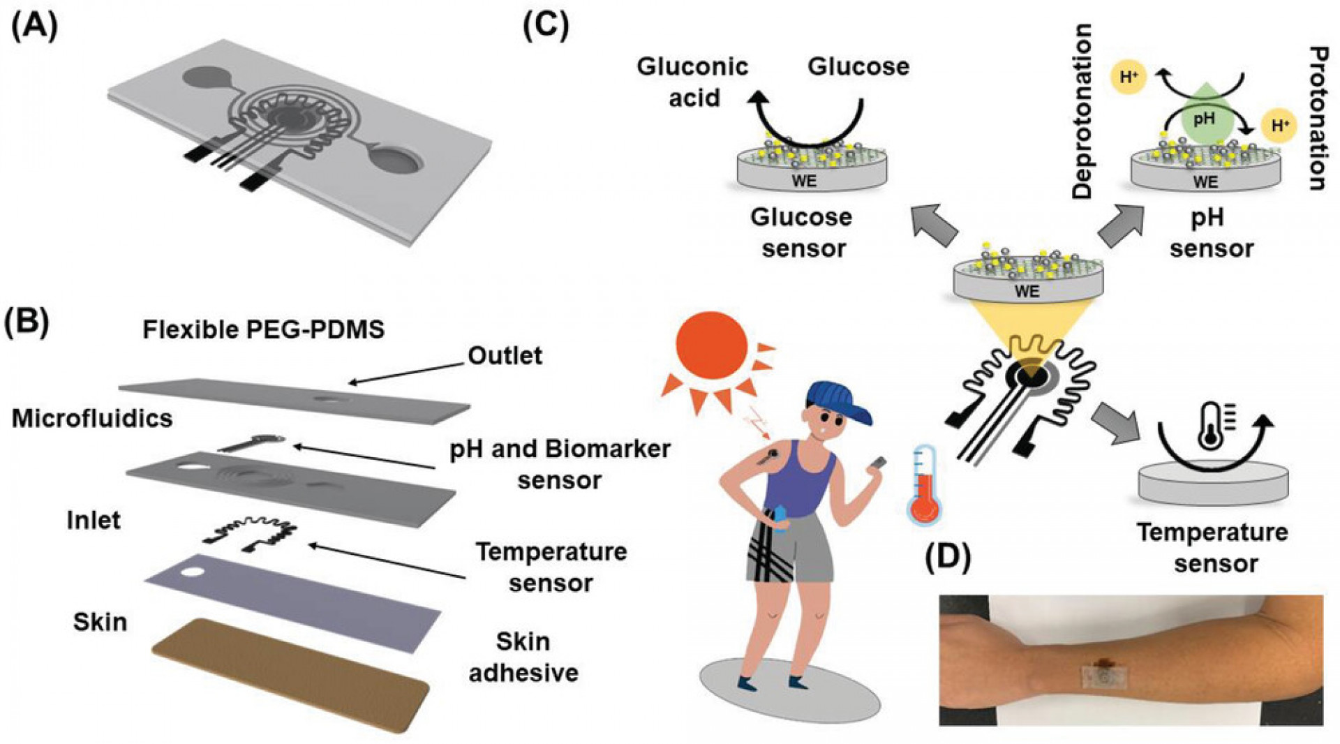 A new wearable sensor can monitor sweat in real time