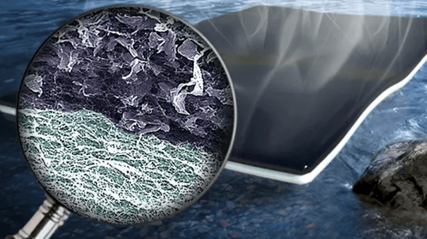 (~MPEPW%$ZLV517PL%}}%FY