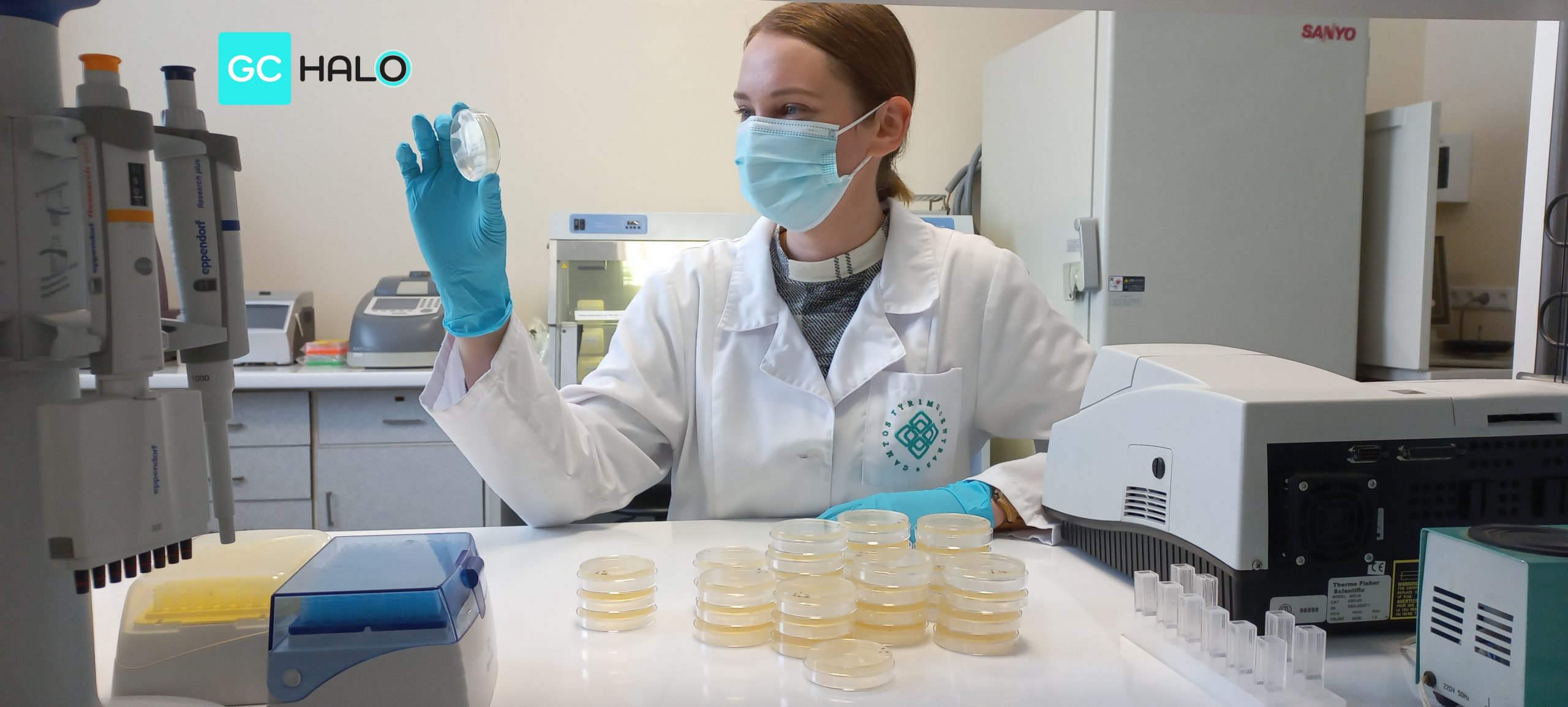 GC 晕®对大肠杆菌和金黄色葡萄球菌的惊人结果