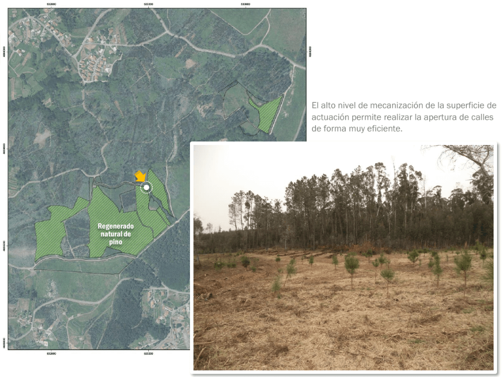 Graphenea减少其环境足迹并保持碳中和