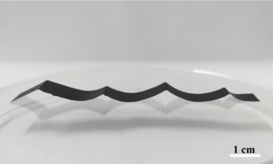 研究人员3D打印自走式氧化石墨烯软机器人